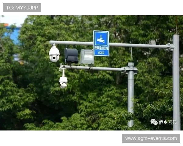 开云体育全站app下载评价：评估平台数据安全措施与隐私保护的实际表现